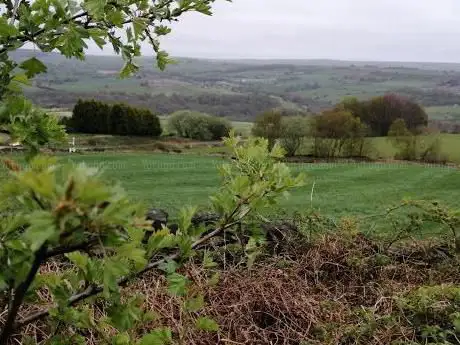 Loxley & Wadsley Common