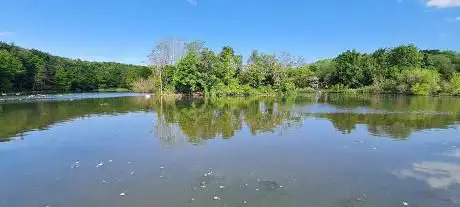 Mount Pleasant Lake