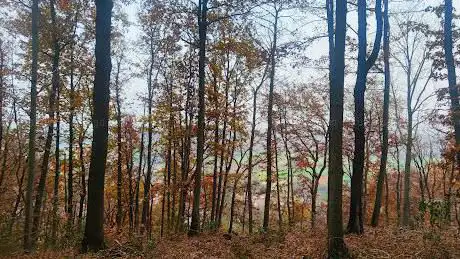 Forêt du Claireau