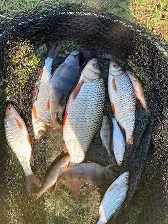 Pump fishing pond