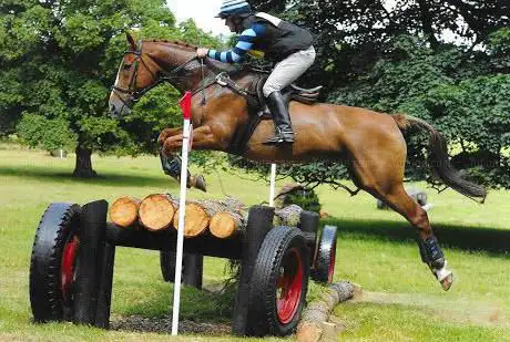 Vincent Brown - Keech Equestrian