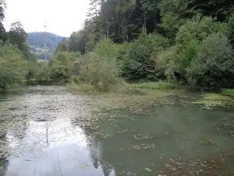 Weiher Bärschwil