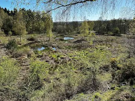 Laymoor Quag Nature Reserve