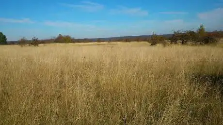 carrieres Woods