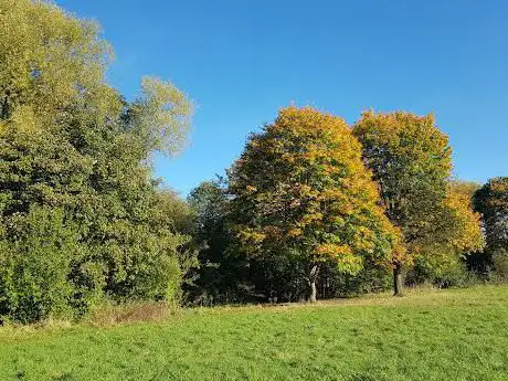 Sandringham Road Football Field