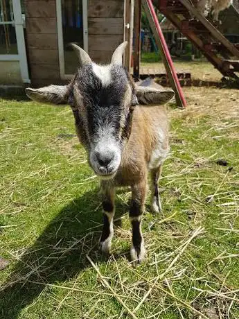 La ferme du Fays