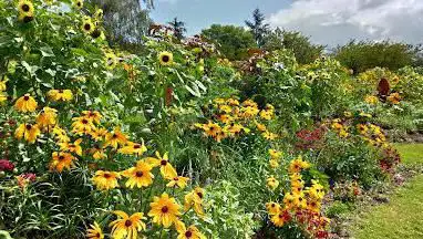 Jardin Des Papillons - Parc Floral de Paris