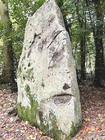 Menhir Pierre Levée