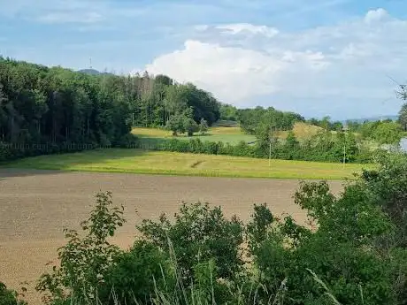 Feuerstelle DunkelhÃ¶lzli