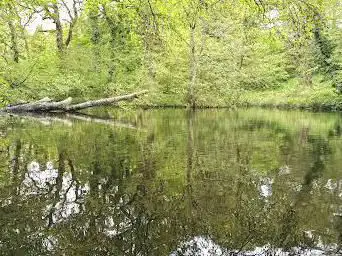 Brockhill Country Park