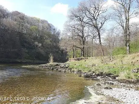 Grass Wood Nature Reserve