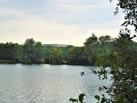 Lynch Lake