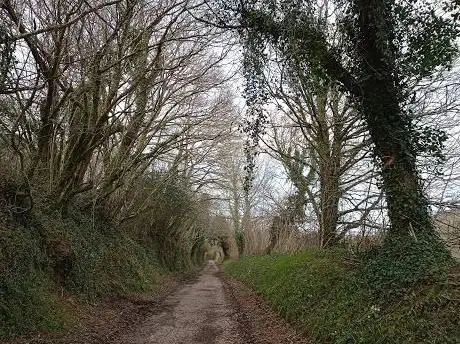 Shell Woods Forestry Commission Car Park