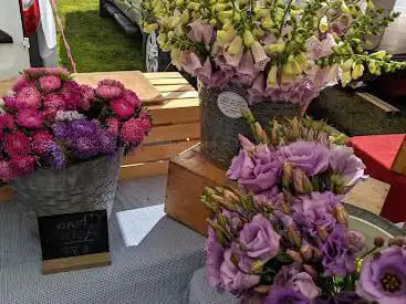 Brunswick-Topsham Land Trust Farmers' Market