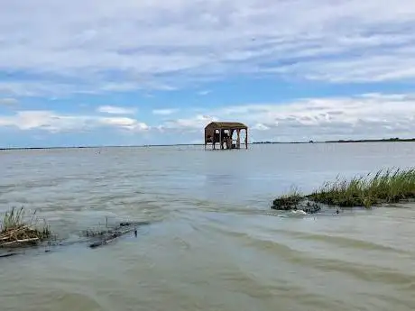 Escursioni nel Delta con Willy