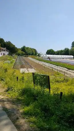 FleurAkker CSA / Bloemenplukweide