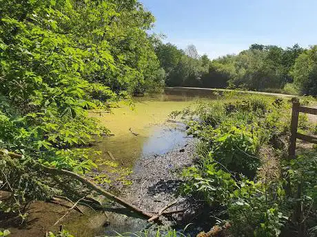 Darland's Lake Nature Reserve