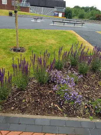 Brownhills Civic Square