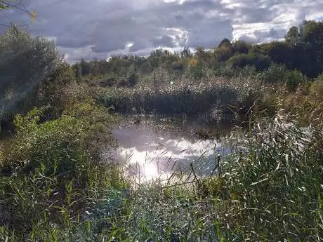 Bird Hide  North Side