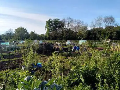 Ginhall Lane Allotments