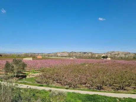 Mirador de Aitona