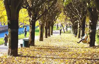 Promenade Henri Henrot