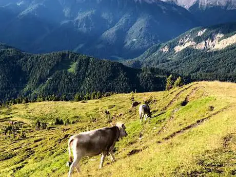 Parco Giochi Rossalm