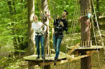 Forest Adventure - forest climbing park