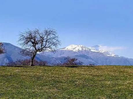 Pic Nic Area - Rogaro