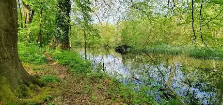 Marlhill Copse