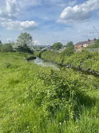 Lincoln Street Water Meadows