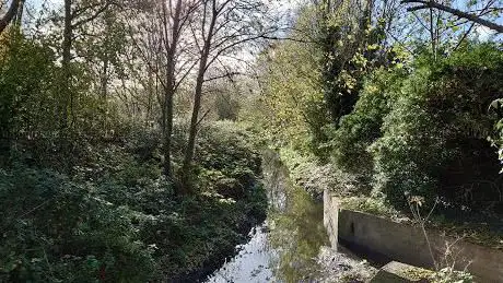 Low Hall Nature Reserve