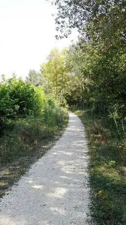 Bosco dell'Osellino