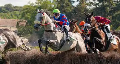 Soc de Courses de la Roche Posay