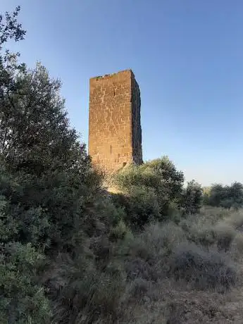 Castillo Farnagüelo