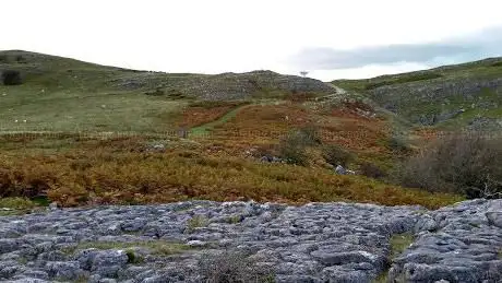 Bryn Alyn Limestone Pavement