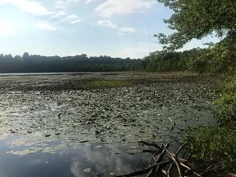 Hammond Pond