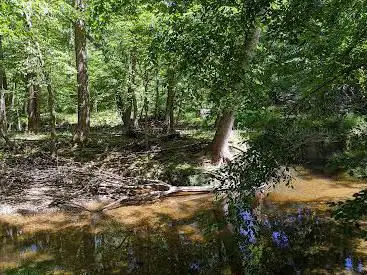 Wolf Trap Loop Trail