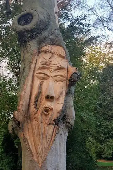 Sculpture sur Arbre