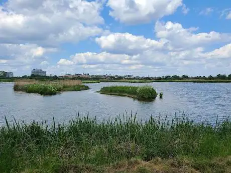 Dulverton Hide