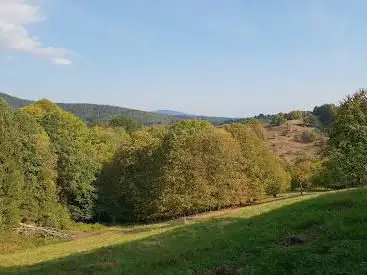 Wanderweg Loffenau-Schwannwald-Hardtberghütte