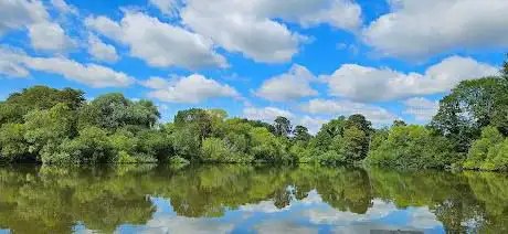 Godstone Ponds