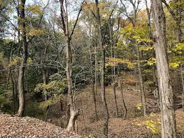 Rutgers University Ecological Preserve