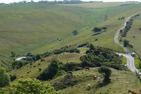 Stonehill Down Nature Reserve