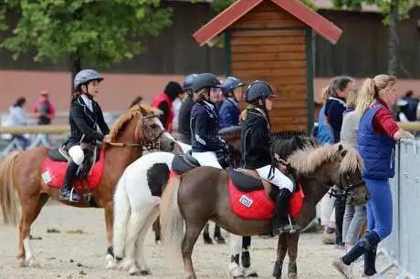 PONEY CLUB D OZOIR