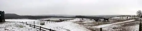 Pony Trekking at Leacett Cottage Stables