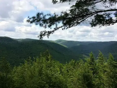 Chester-Blandford State Forest