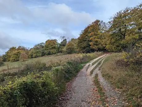 Gatton Park