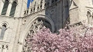 Cathedral Basilica of the Sacred Heart