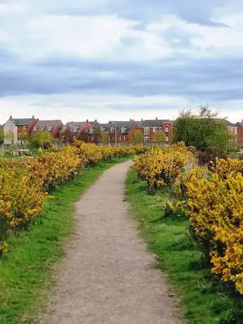 Fosseway Heath Nature Reserve And Wetlands